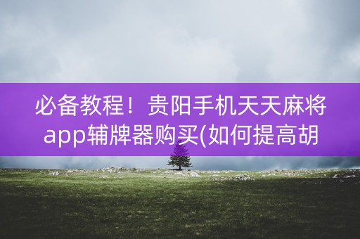 必备教程！贵阳手机天天麻将app辅牌器购买(如何提高胡牌率)