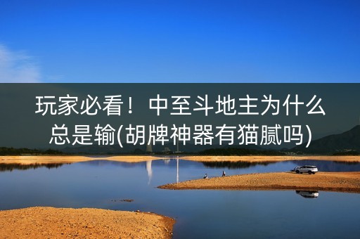 玩家必看！中至斗地主为什么总是输(胡牌神器有猫腻吗)