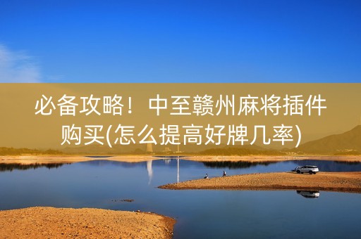 必备攻略！中至赣州麻将插件购买(怎么提高好牌几率)
