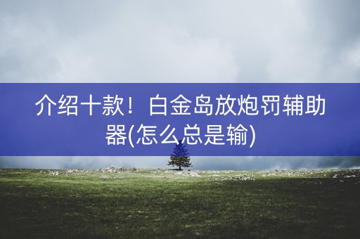介绍十款！白金岛放炮罚辅助器(怎么总是输)