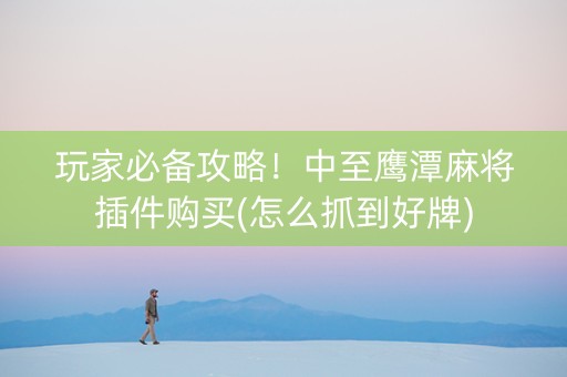 玩家必备攻略！中至鹰潭麻将插件购买(怎么抓到好牌)