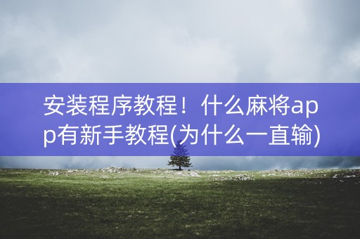 安装程序教程！什么麻将app有新手教程(为什么一直输)
