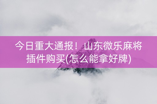 今日重大通报！山东微乐麻将插件购买(怎么能拿好牌)