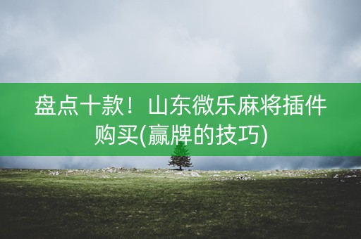 盘点十款！山东微乐麻将插件购买(赢牌的技巧)
