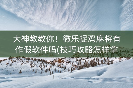 大神教教你！微乐捉鸡麻将有作假软件吗(技巧攻略怎样拿好牌)