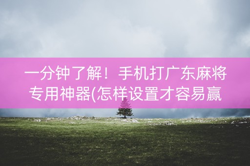 一分钟了解！手机打广东麻将专用神器(怎样设置才容易赢)