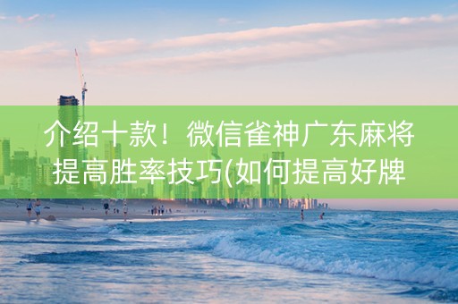 介绍十款！微信雀神广东麻将提高胜率技巧(如何提高好牌几率)