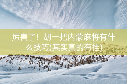 厉害了！胡一把内蒙麻将有什么技巧(其实真的有挂)