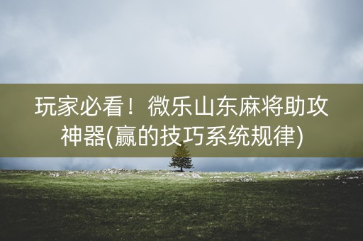 玩家必看！微乐山东麻将助攻神器(赢的技巧系统规律)
