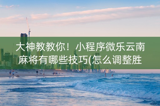 大神教教你！小程序微乐云南麻将有哪些技巧(怎么调整胜率)