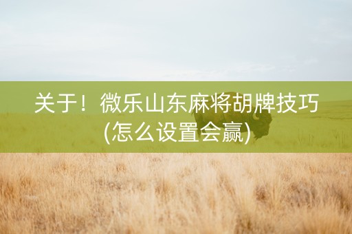 关于！微乐山东麻将胡牌技巧(怎么设置会赢)