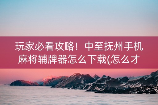 玩家必看攻略！中至抚州手机麻将辅牌器怎么下载(怎么才可以赢)