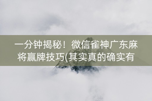 一分钟揭秘！微信雀神广东麻将赢牌技巧(其实真的确实有挂)