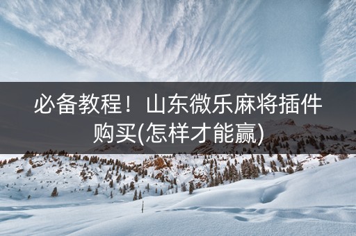 必备教程！山东微乐麻将插件购买(怎样才能赢)