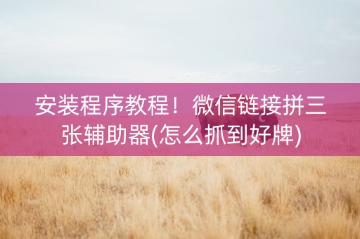 安装程序教程！微信链接拼三张辅助器(怎么抓到好牌)