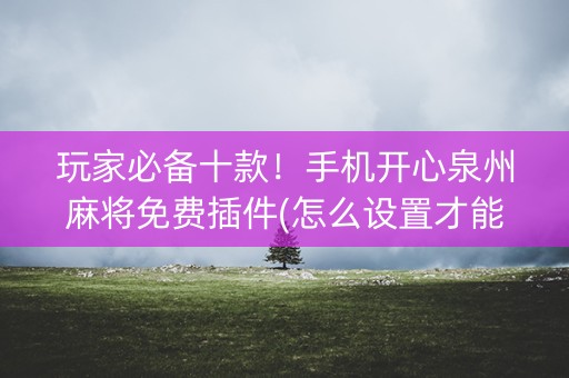 玩家必备十款！手机开心泉州麻将免费插件(怎么设置才能赢)