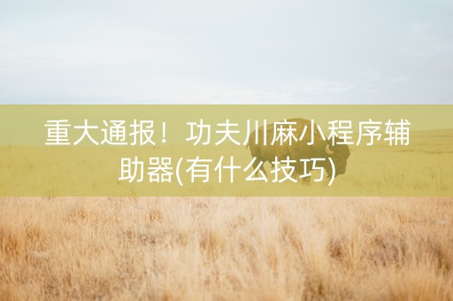 重大通报！功夫川麻小程序辅助器(有什么技巧)