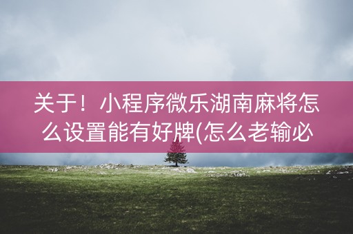 关于！小程序微乐湖南麻将怎么设置能有好牌(怎么老输必备神器)