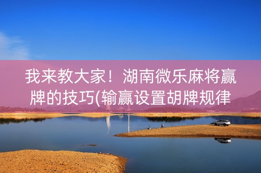 我来教大家！湖南微乐麻将赢牌的技巧(输赢设置胡牌规律)