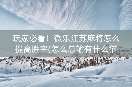 玩家必看！微乐江苏麻将怎么提高胜率(怎么总输有什么猫腻)