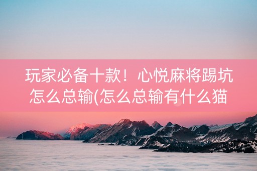玩家必备十款！心悦麻将踢坑怎么总输(怎么总输有什么猫腻)