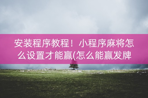 安装程序教程！小程序麻将怎么设置才能赢(怎么能赢发牌规律)