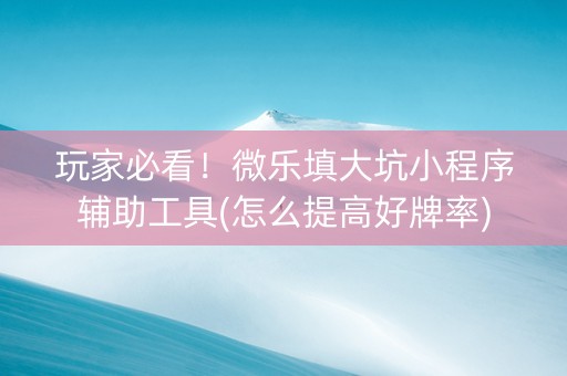 玩家必看！微乐填大坑小程序辅助工具(怎么提高好牌率)