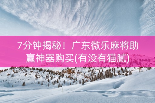 7分钟揭秘！广东微乐麻将助赢神器购买(有没有猫腻)