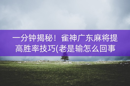 一分钟揭秘！雀神广东麻将提高胜率技巧(老是输怎么回事)
