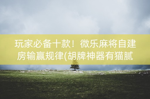 玩家必备十款！微乐麻将自建房输赢规律(胡牌神器有猫腻吗)