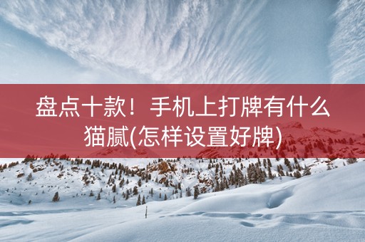 盘点十款！手机上打牌有什么猫腻(怎样设置好牌)