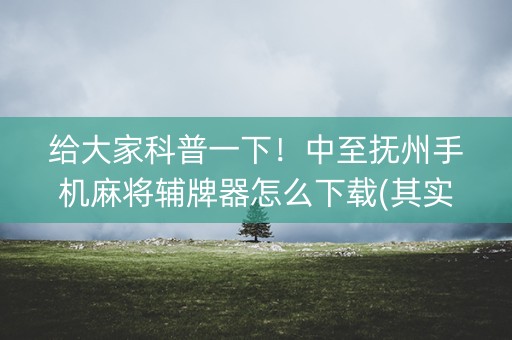 给大家科普一下！中至抚州手机麻将辅牌器怎么下载(其实真的有挂)