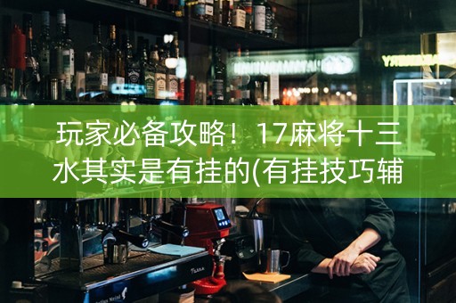 玩家必备攻略！17麻将十三水其实是有挂的(有挂技巧辅助器)