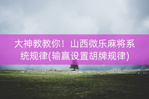 大神教教你！山西微乐麻将系统规律(输赢设置胡牌规律)