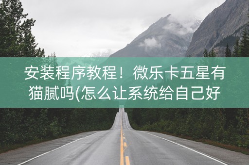安装程序教程！微乐卡五星有猫腻吗(怎么让系统给自己好牌)
