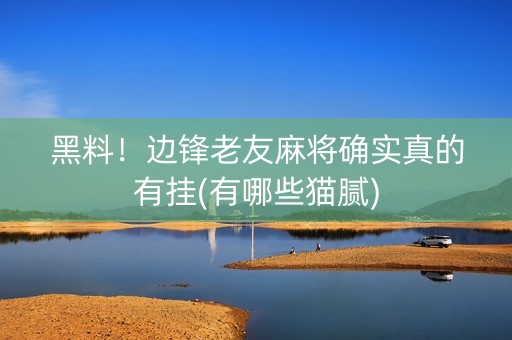 黑料！边锋老友麻将确实真的有挂(有哪些猫腻)