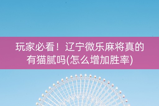 玩家必看！辽宁微乐麻将真的有猫腻吗(怎么增加胜率)
