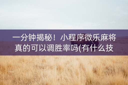 一分钟揭秘！小程序微乐麻将真的可以调胜率吗(有什么技巧)