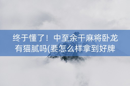 终于懂了！中至余干麻将卧龙有猫腻吗(要怎么样拿到好牌)