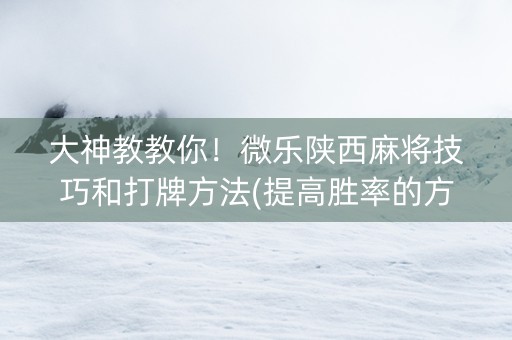 大神教教你！微乐陕西麻将技巧和打牌方法(提高胜率的方法)