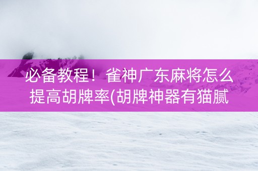 必备教程！雀神广东麻将怎么提高胡牌率(胡牌神器有猫腻吗)