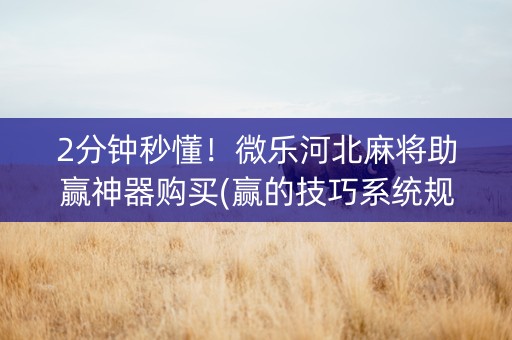 2分钟秒懂！微乐河北麻将助赢神器购买(赢的技巧系统规律)