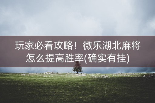 玩家必看攻略！微乐湖北麻将怎么提高胜率(确实有挂)