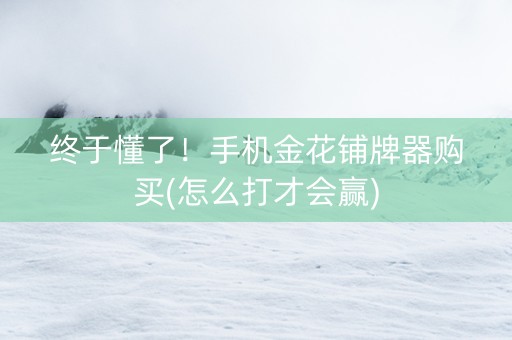 终于懂了！手机金花铺牌器购买(怎么打才会赢)