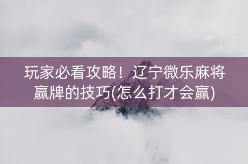 玩家必看攻略！辽宁微乐麻将赢牌的技巧(怎么打才会赢)