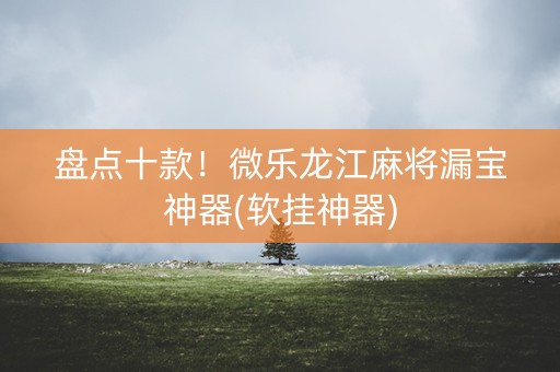 盘点十款！微乐龙江麻将漏宝神器(软挂神器)