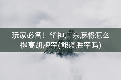 玩家必备！雀神广东麻将怎么提高胡牌率(能调胜率吗)