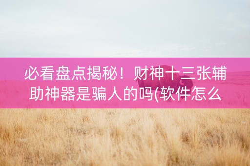 必看盘点揭秘！财神十三张辅助神器是骗人的吗(软件怎么打赢)