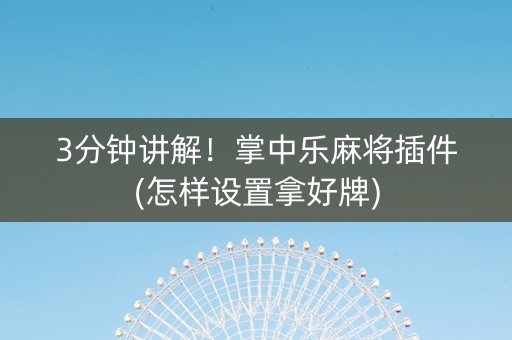 3分钟讲解！掌中乐麻将插件(怎样设置拿好牌)