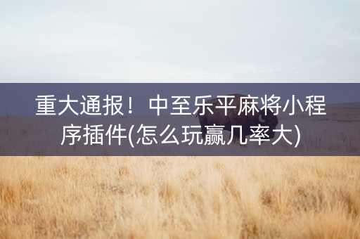 重大通报！中至乐平麻将小程序插件(怎么玩赢几率大)